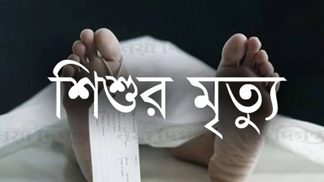 কাউখালীতে পটকা মাছ খেয়ে এক শিশুর মৃত্যু